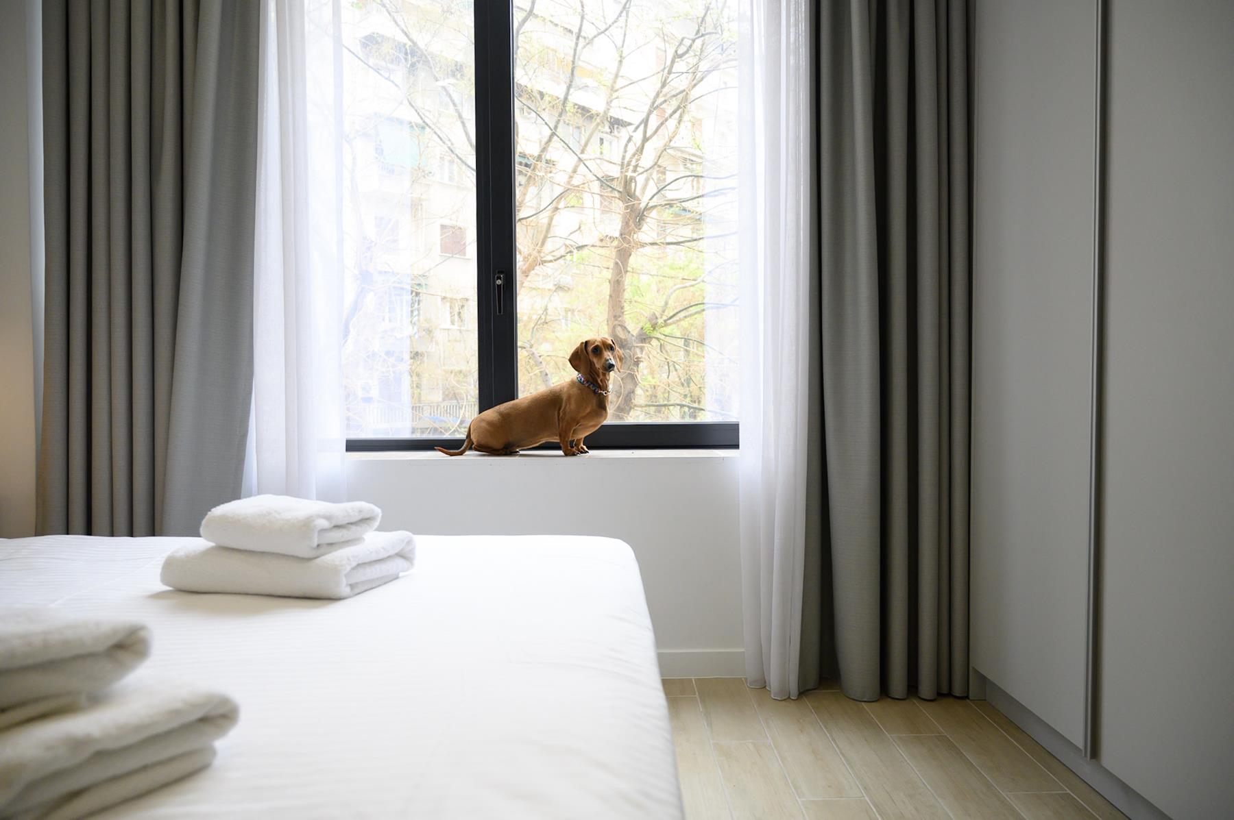 Pet Friendly (10)
