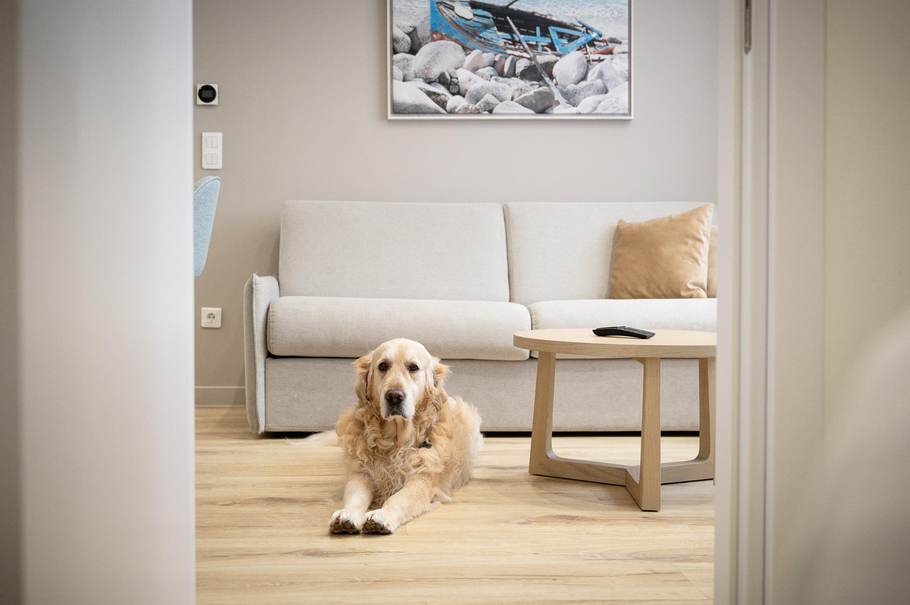 pet friendly (12)