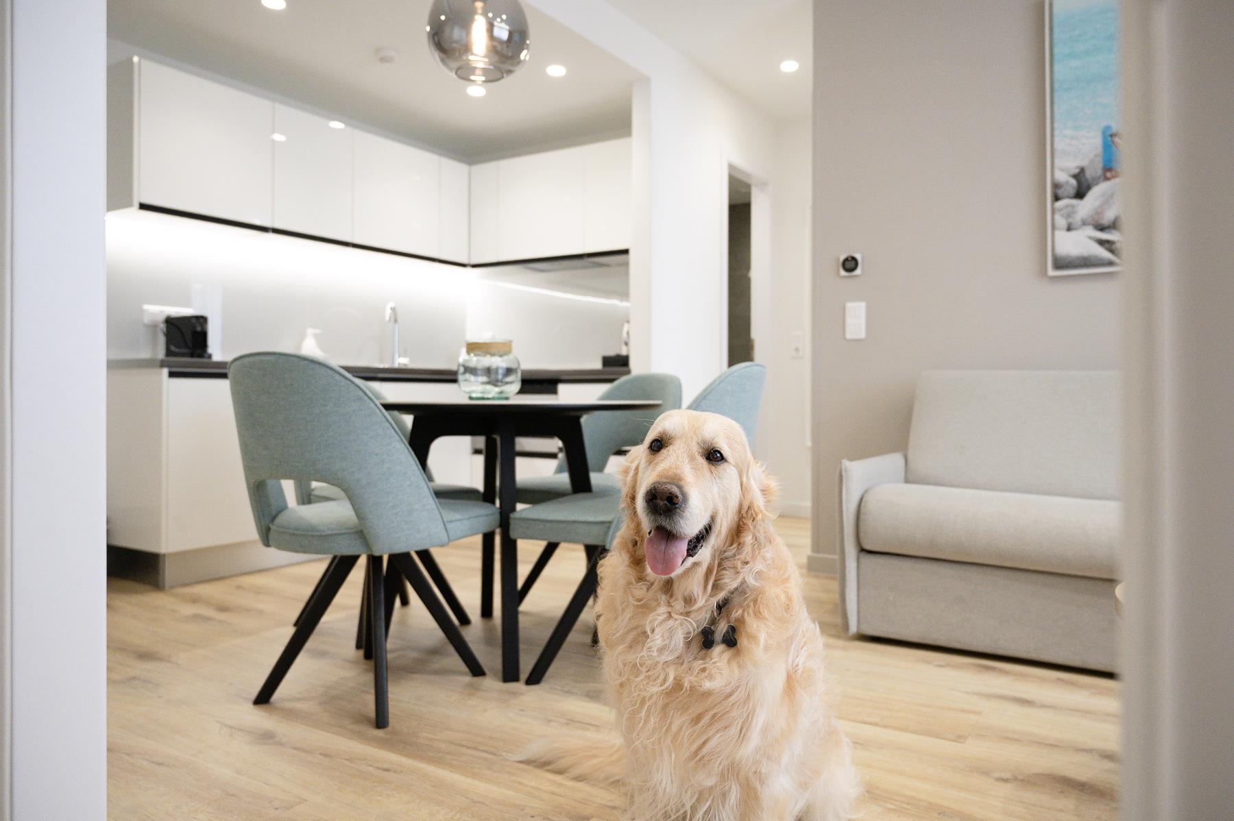 pet friendly (13)