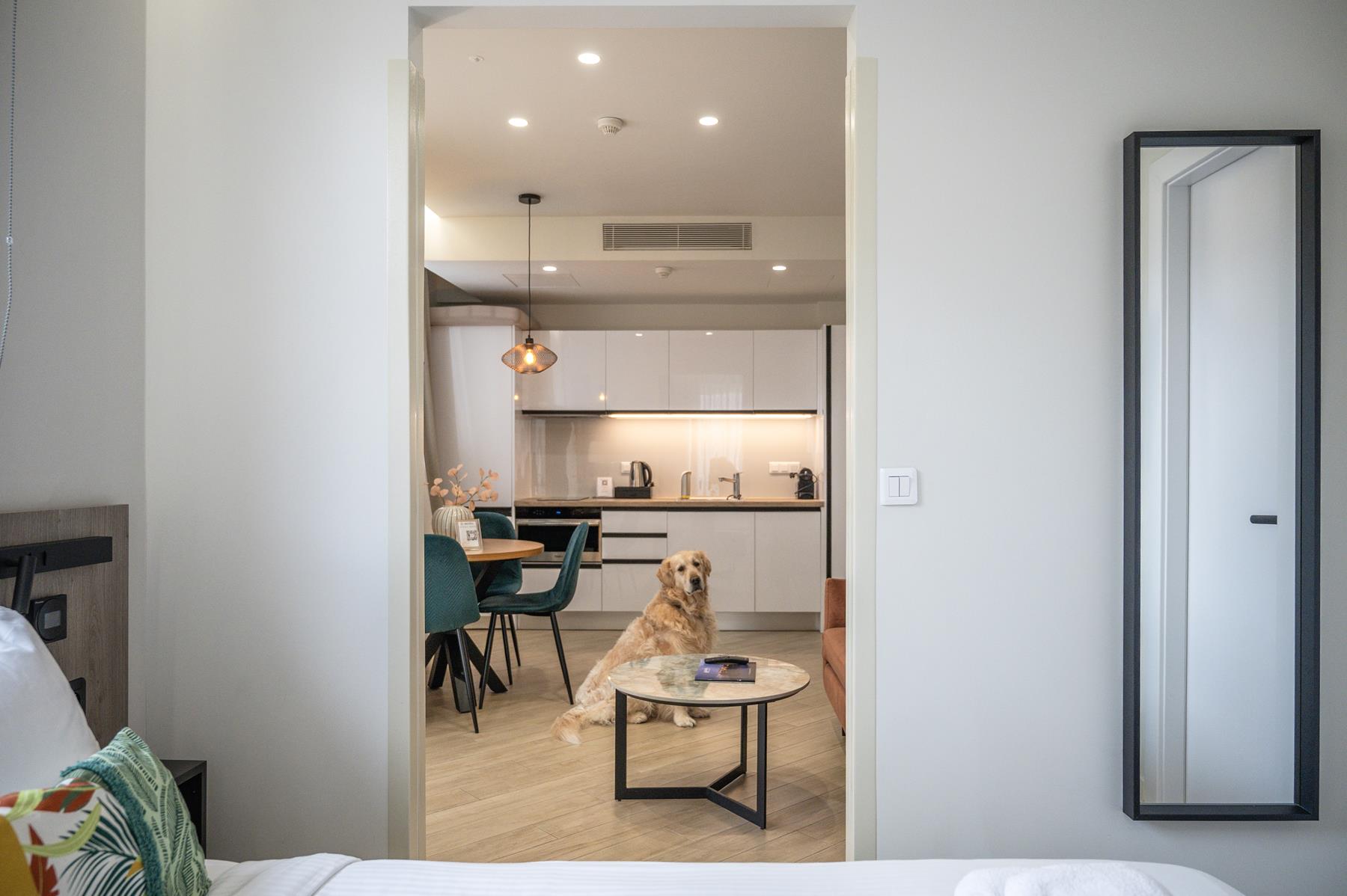 pet friendly (18)