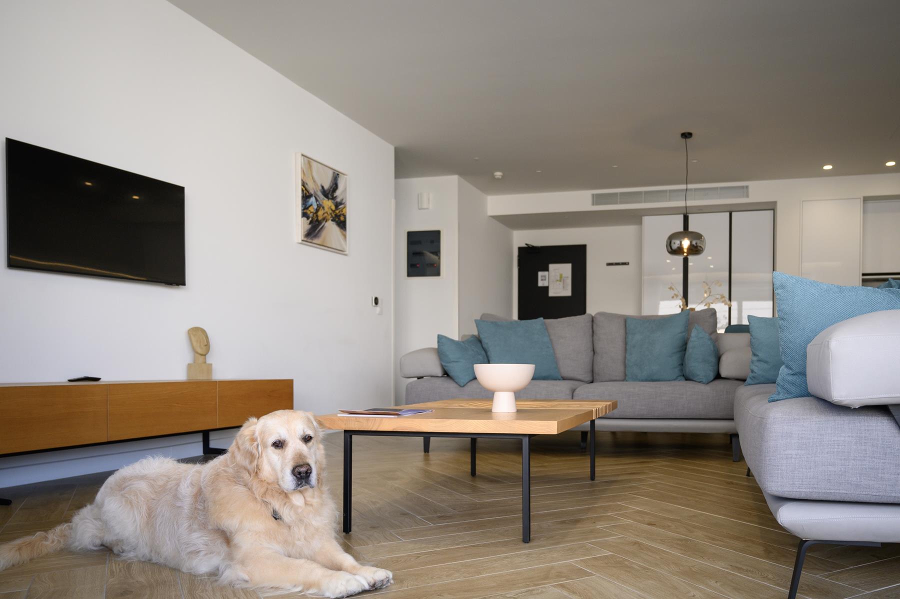 pet friendly (8)